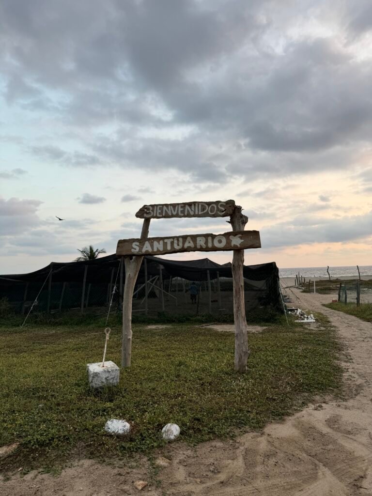 Entrada al Santuario de Tortugas Marinas de Escobilla, Oaxaca.