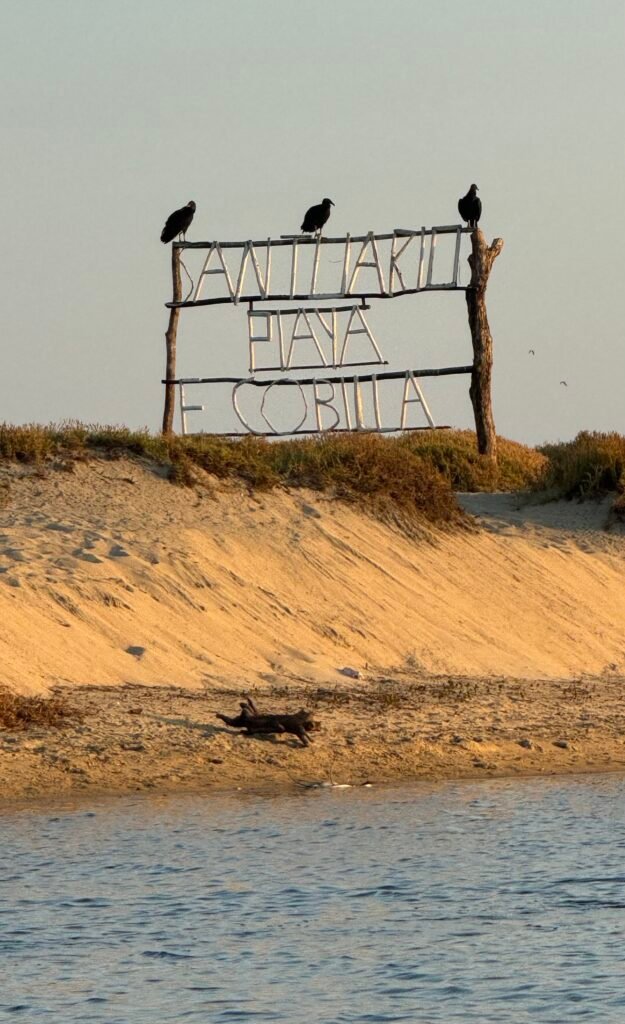 Entrada a Playa Escobilla en el Santuario de Tortugas Marinas, Oaxaca.