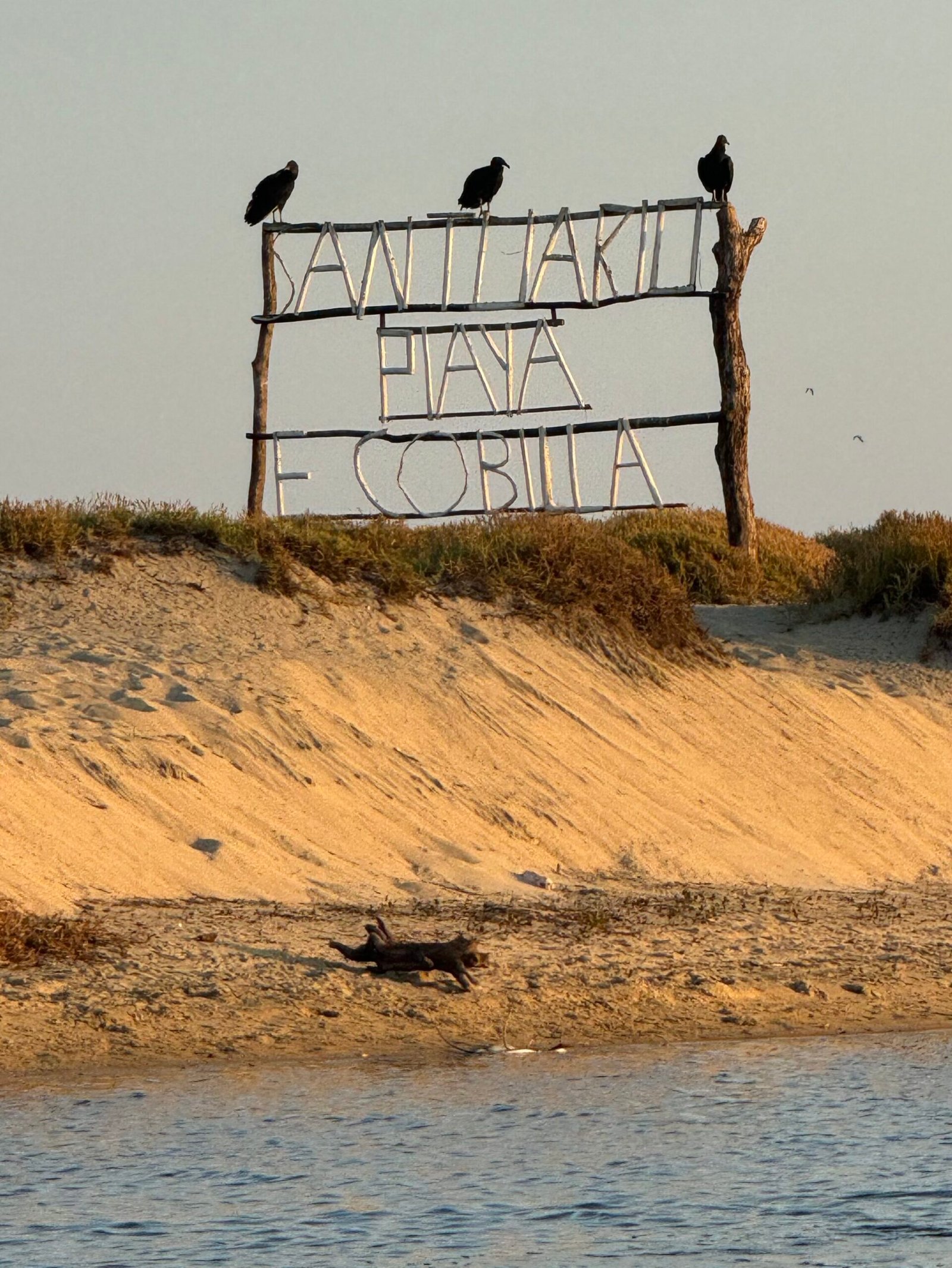 Letrero de santuario escobilla