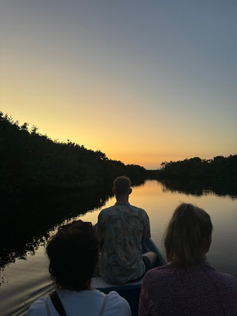 Visitantes observando atardecer en manglares de Escobilla Oaxaca