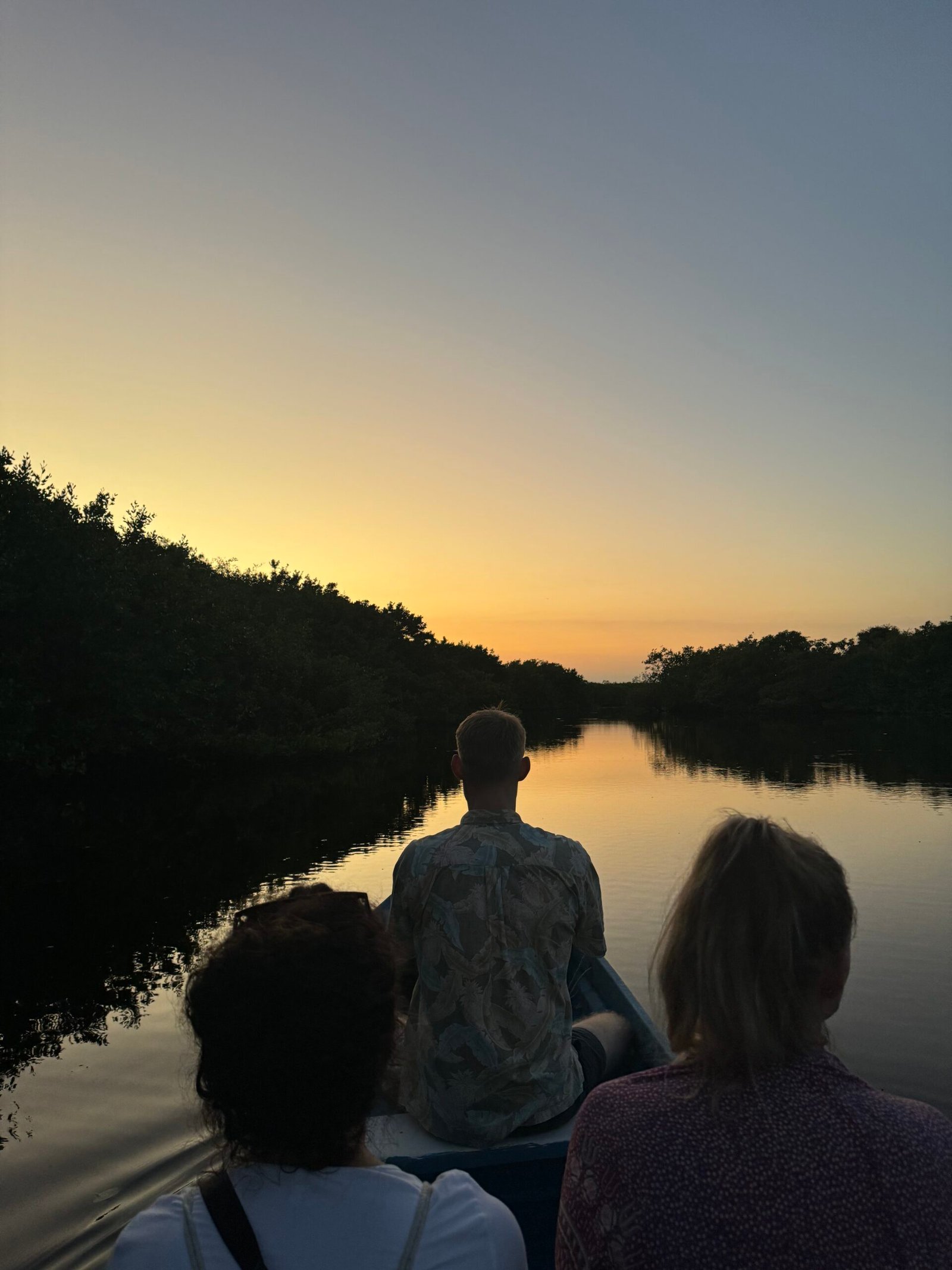 Visitantes observando atardecer en manglares de Escobilla Oaxaca