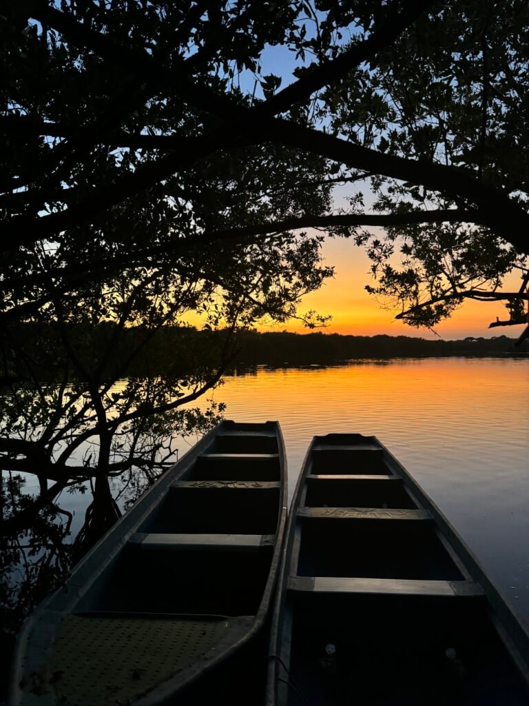 Lancha en manglar al atardecer en la costa de Escobilla Oaxaca