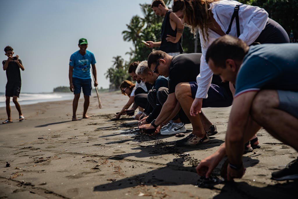 Grupo preparando liberación de tortugas marinas en la playa de Escobilla.