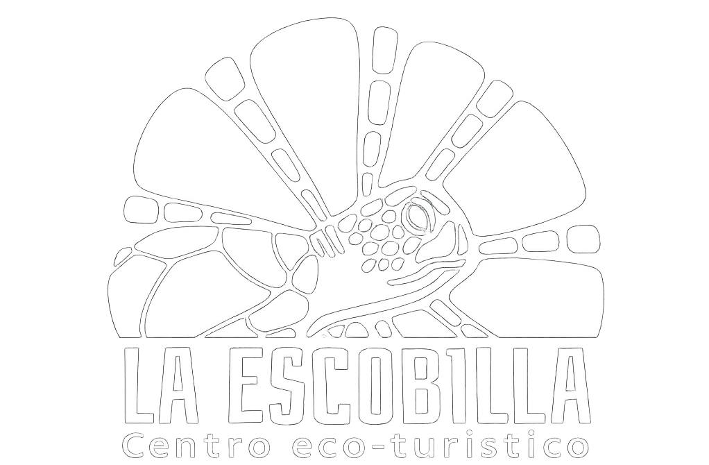 Santuario Escobilla Oaxaca