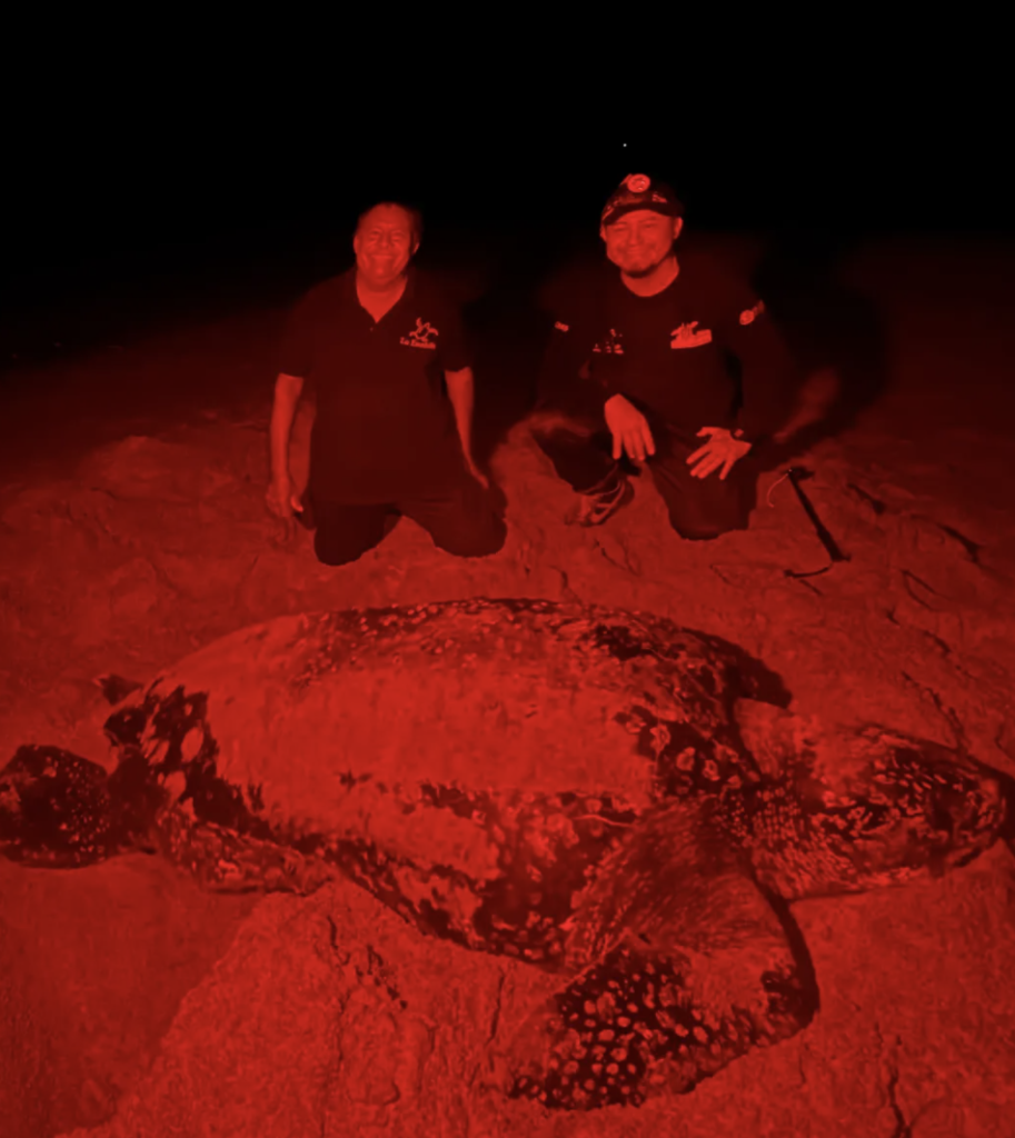 Monitoreo nocturno de tortuga laúd en Playa Escobilla, Oaxaca, durante recorrido guiado comunitario.