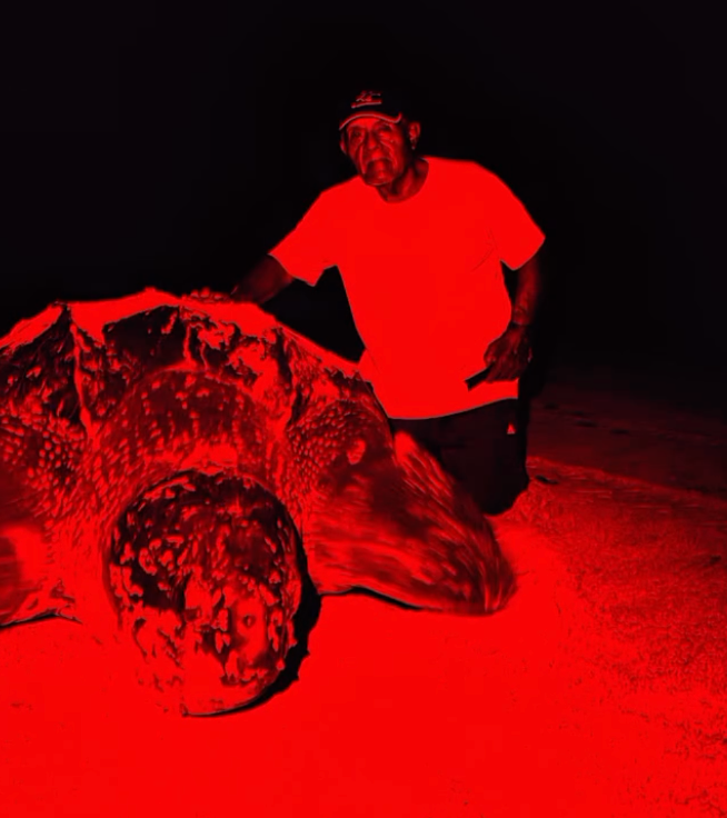 Guía comunitario junto a tortuga laúd durante monitoreo nocturno en Playa Escobilla, Oaxaca.