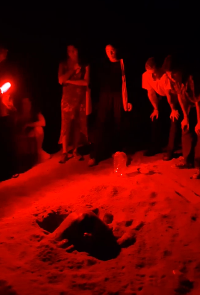 Visitantes observando anidación de tortuga laúd durante recorrido nocturno en Playa Escobilla.