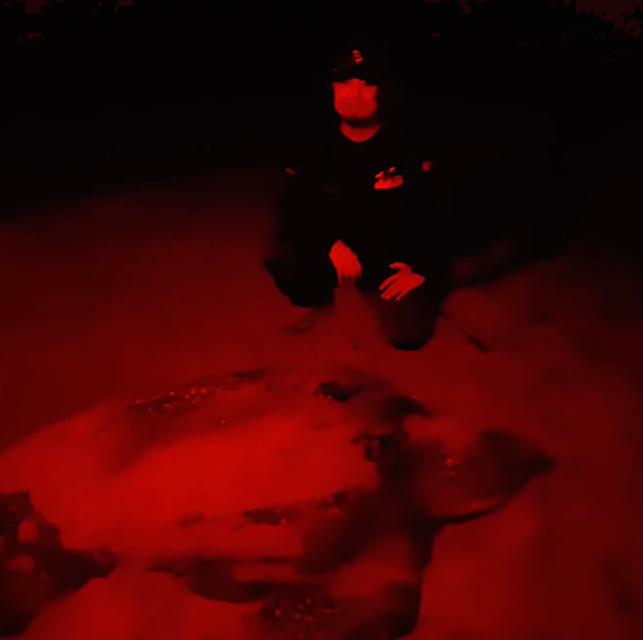 Equipo comunitario realizando monitoreo nocturno de tortugas marinas en Escobilla, Oaxaca