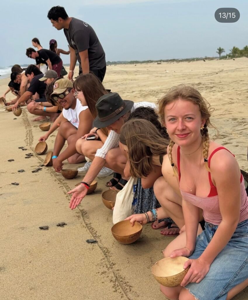 Grupo liberando tortugas marinas en la playa de Escobilla, Oaxaca.