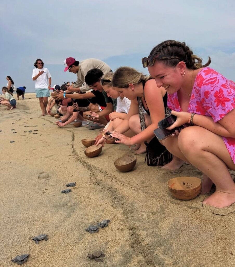 Grupo de visitantes liberando tortugas marinas en la playa de Escobilla, Oaxaca.